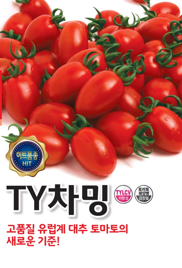TY차밍 사진
