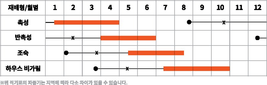 블랙에이스 플러스 재배적기표
