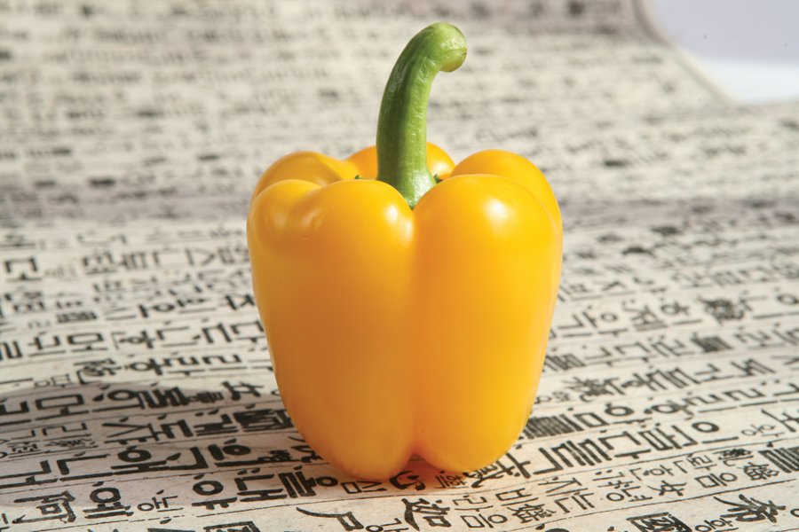 옐로우캡 사진