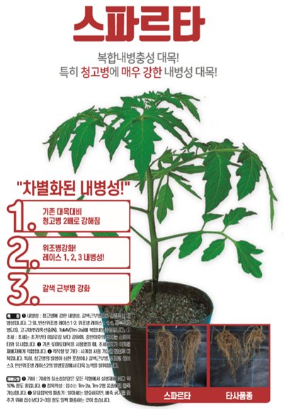 스파르타 사진