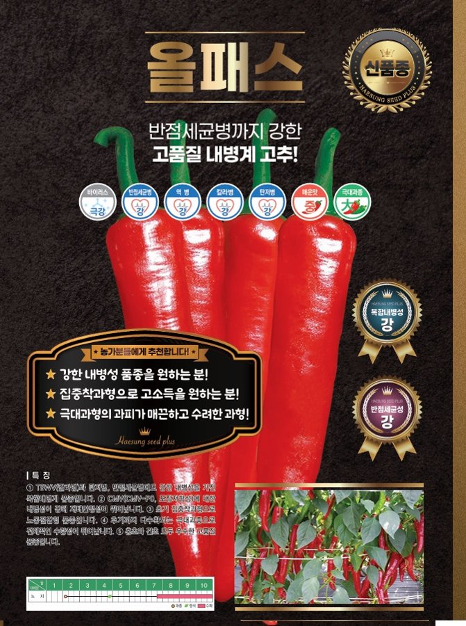 올패스 사진