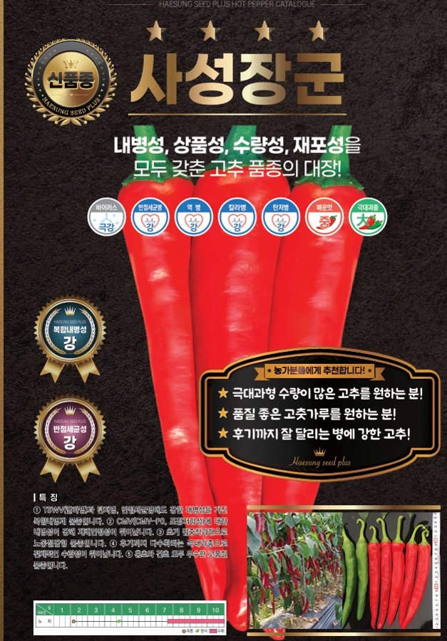 사성장군 사진