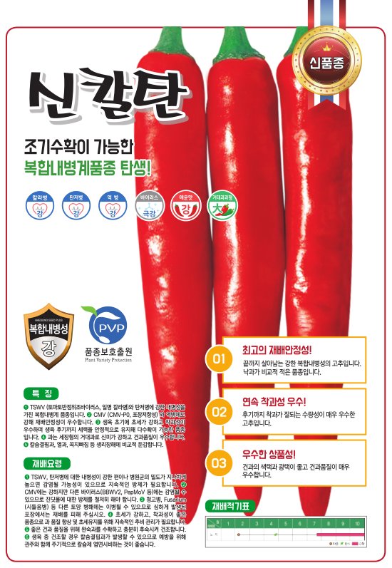 신칼탄 사진