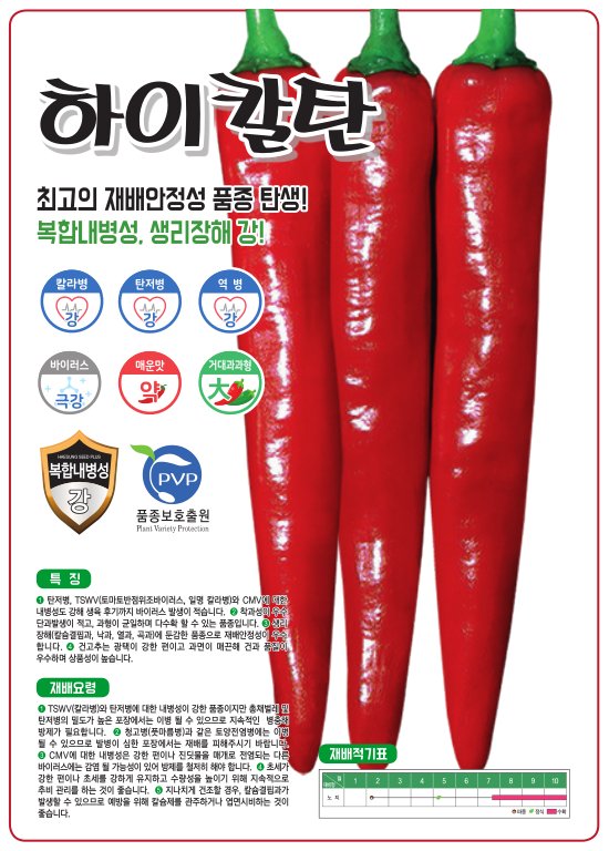 하이칼탄 사진
