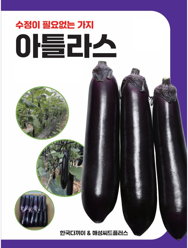 아틀라스 사진