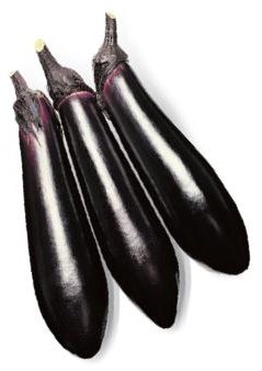 블랙다이아 사진