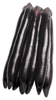 천하대장 사진