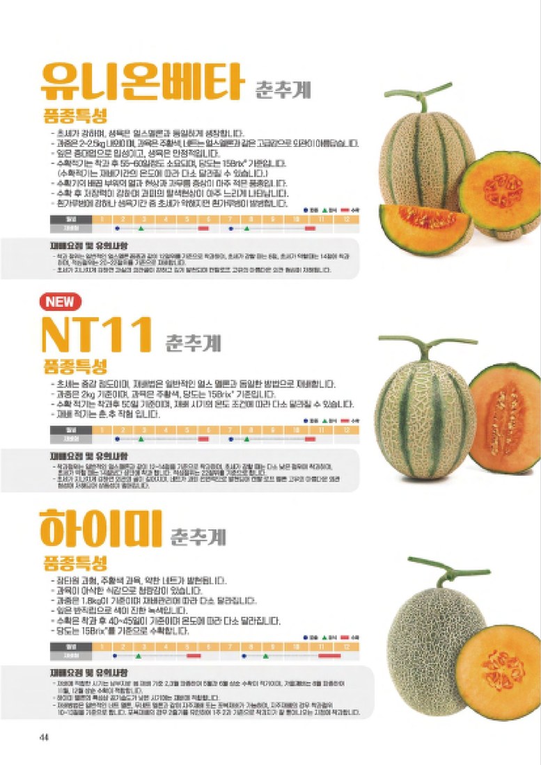 NT11 사진