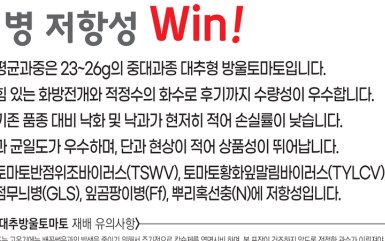 TYS위너 재배적기표