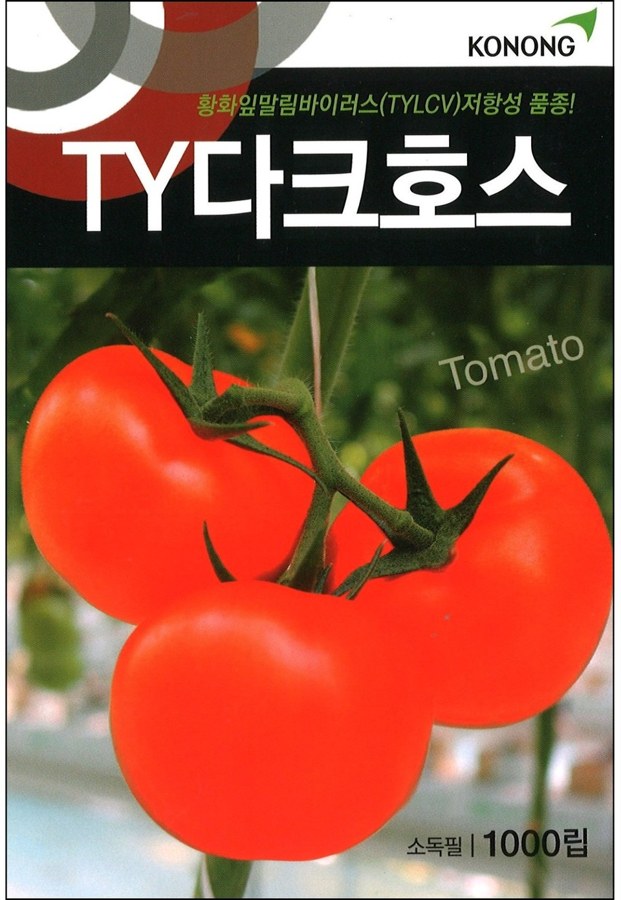 TY다크호스 사진