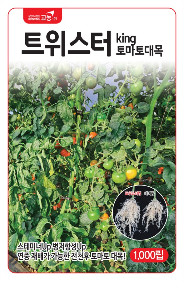 트위스터킹 사진