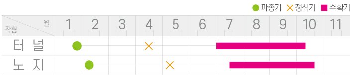 강탄지구고추 재배적기표