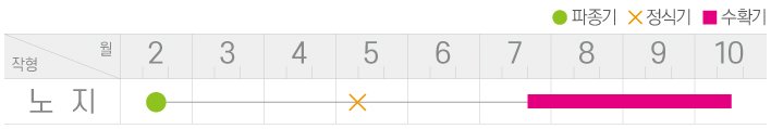 거대박고추 재배적기표