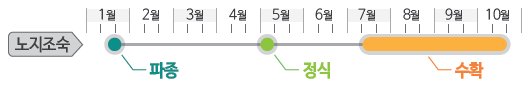 멋진사나이고추 재배적기표