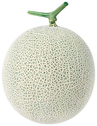PMR썸머킹멜론 사진