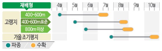 산골봄배추 재배적기표