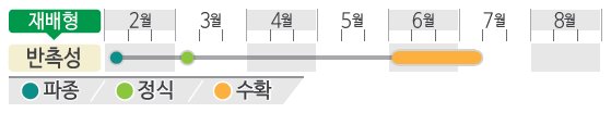도린수박 재배적기표