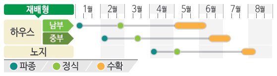 누네띠네꿀수박 재배적기표