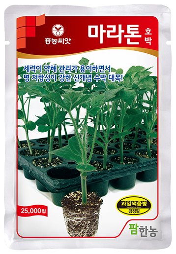 마라톤 수박 대목 재배적기표