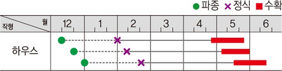에이스꿀수박 재배적기표