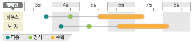 중복삼척오이 재배적기표