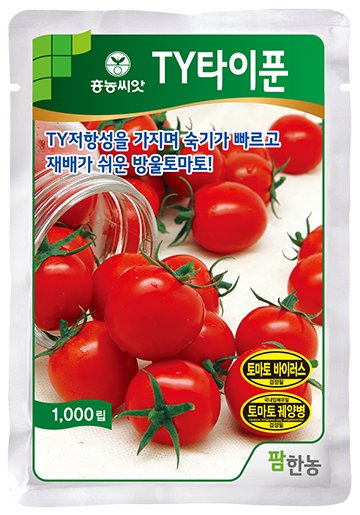 TY타이푼방울토마토 재배적기표