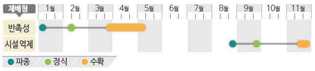 서울애호박 재배적기표