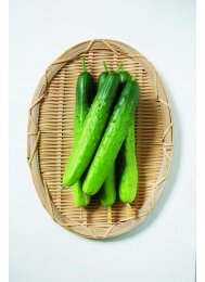 젤루존 사진