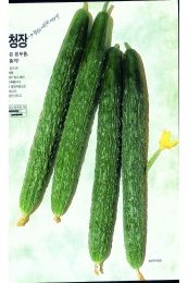 글로리삼척 사진
