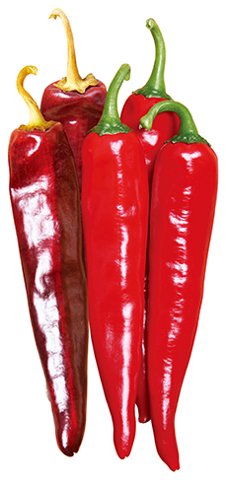 에이스칼라 사진