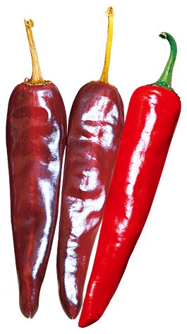 거대한탄생 사진
