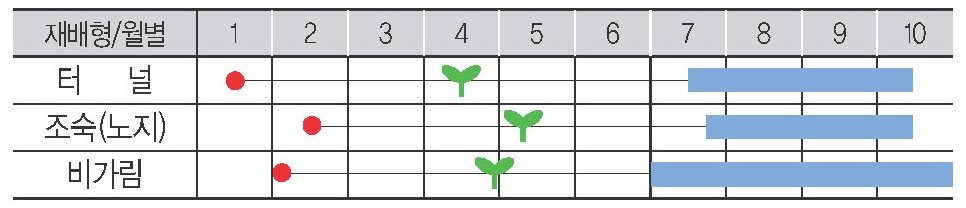 거대한탄생 재배적기표