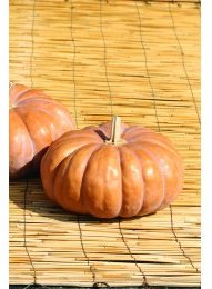 신아시아맷돌 사진