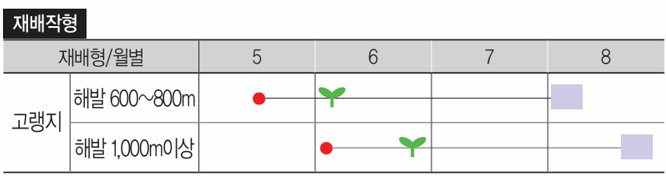 대서장군 재배적기표