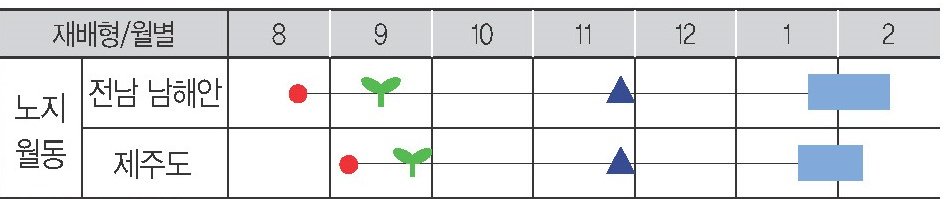 겨울손장군 재배적기표
