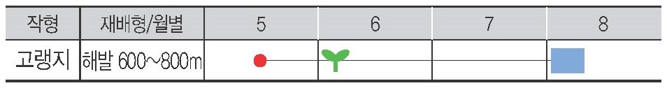 탐이나쌈 재배적기표